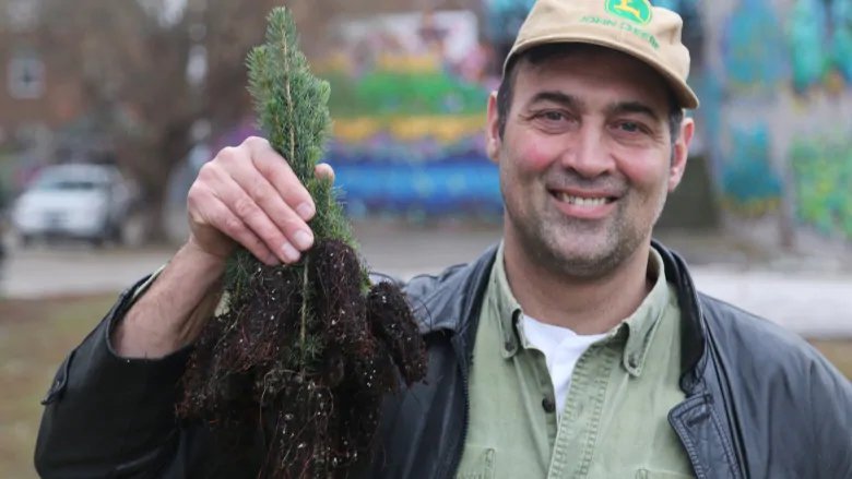 CBCHamilton's tweet image. Why one Hamilton man is giving the gift of free trees this Christmas. cbc.ca/1.4957841 #HamOnt @Peter_Ormond