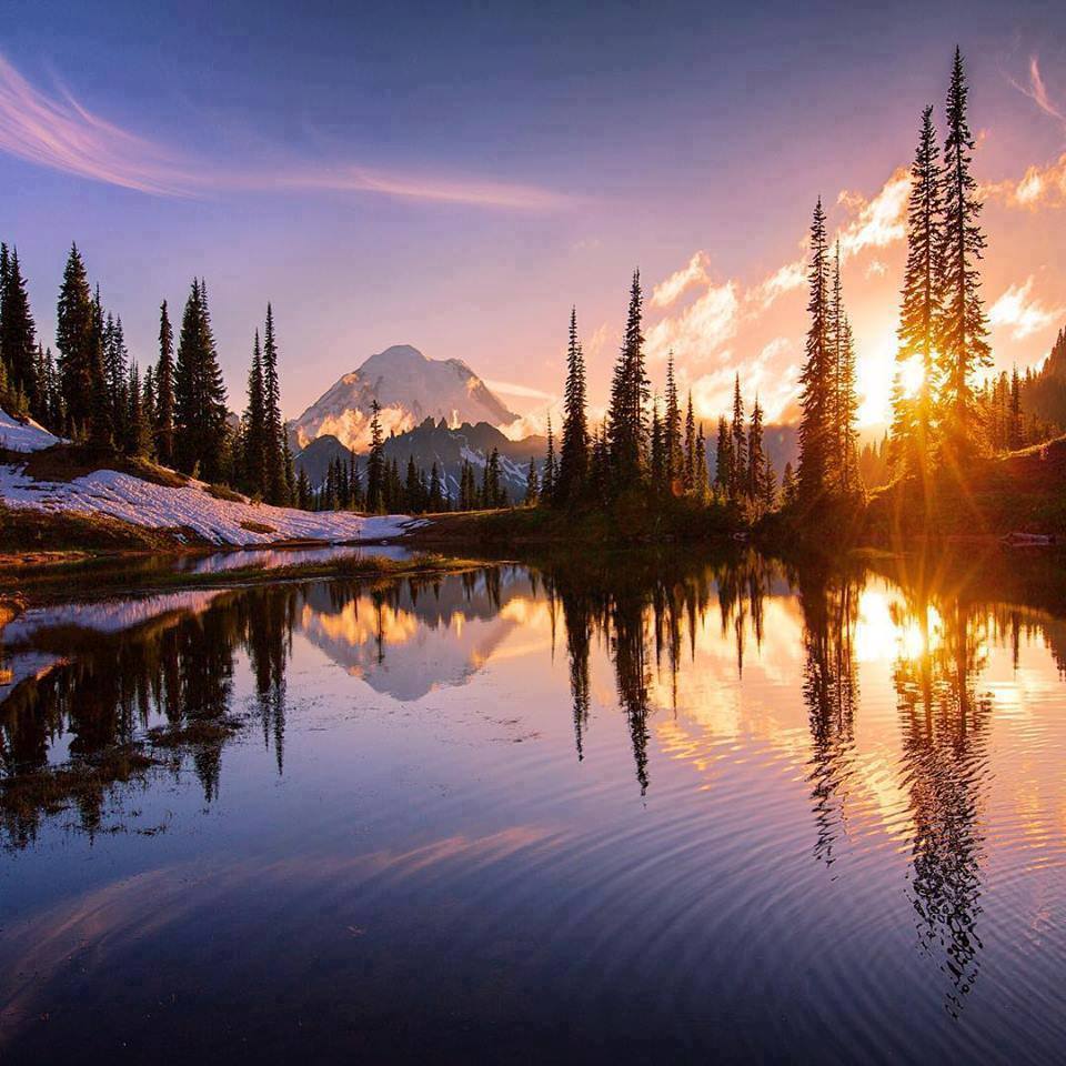 Mount Rainier, Washington, USA 😍