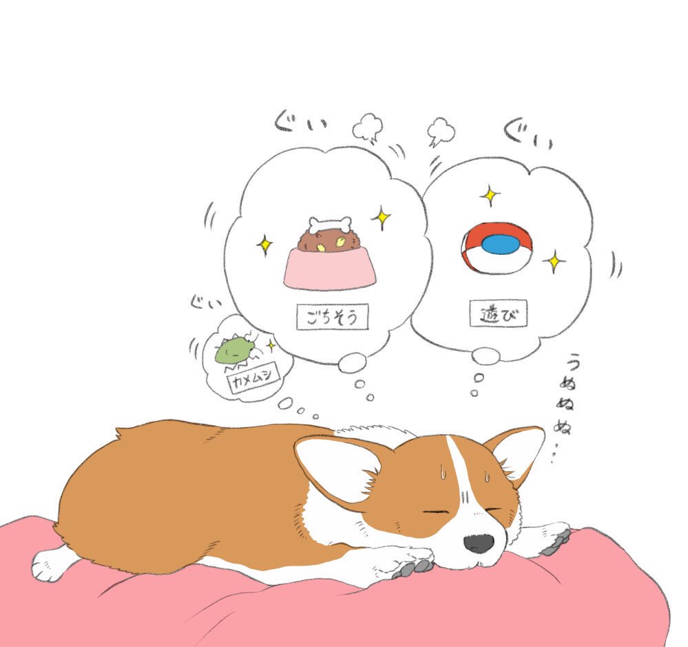 拮抗する望み 
