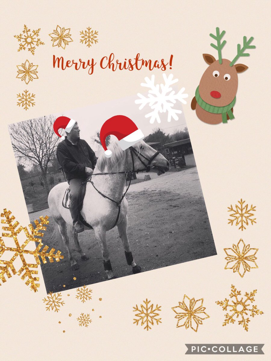Gary_Witheford_'s tweet photo. #TeamWithefordAdventCalendar Day 24 A big shout out to our team & all those working with animals at Xmas & 365 days/year,whether itโs in a racing yard, riding school, kennels, rescue centre, vets or private homes #ItsBeginningToLookALotLikeChristmas #TeamWitheford #AdventCalendar https://t.co/tHY6jaVMfM