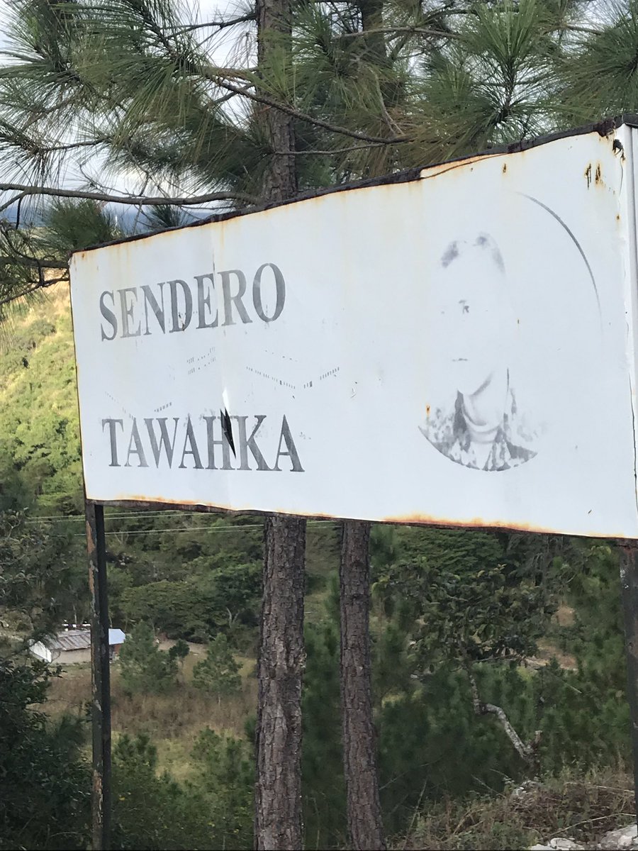 RicharMata's tweet photo. Campo Traviesos #Trailrun 🇭🇳 @KDelaVArriaga ríos dé adrenalina @AnaKebonita @pA_bLo_DLV @gab_marivy
#KR98 #Runkeepeer #VidadeRunners #Runningtime
sendero Tawahka https://t.co/F31Xxq9PPr