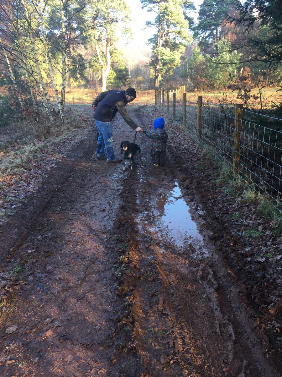 keeping_this's tweet photo. Early start with the @WildlifeTrusts #7DaysOfWildChristmas. A #winter walk @NTClumberPark !Exploring with our sense the squelchy mud, crunchy leaves, cold frost and of course splashy puddles!  #keepingthisreal #mummybloggers #curiosity #mindfulness #outdoorlearning #memories https://t.co/qvxCorPLI6