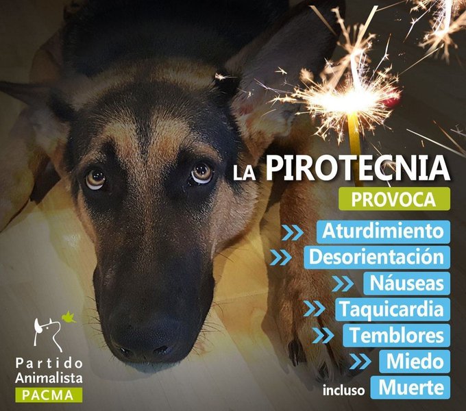 Ver imagen en Twitter