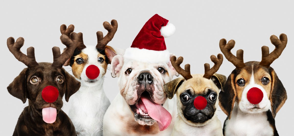 Toute l’équipe vous souhaite de joyeuses fêtes de fin d’année ! 
#Noel2018