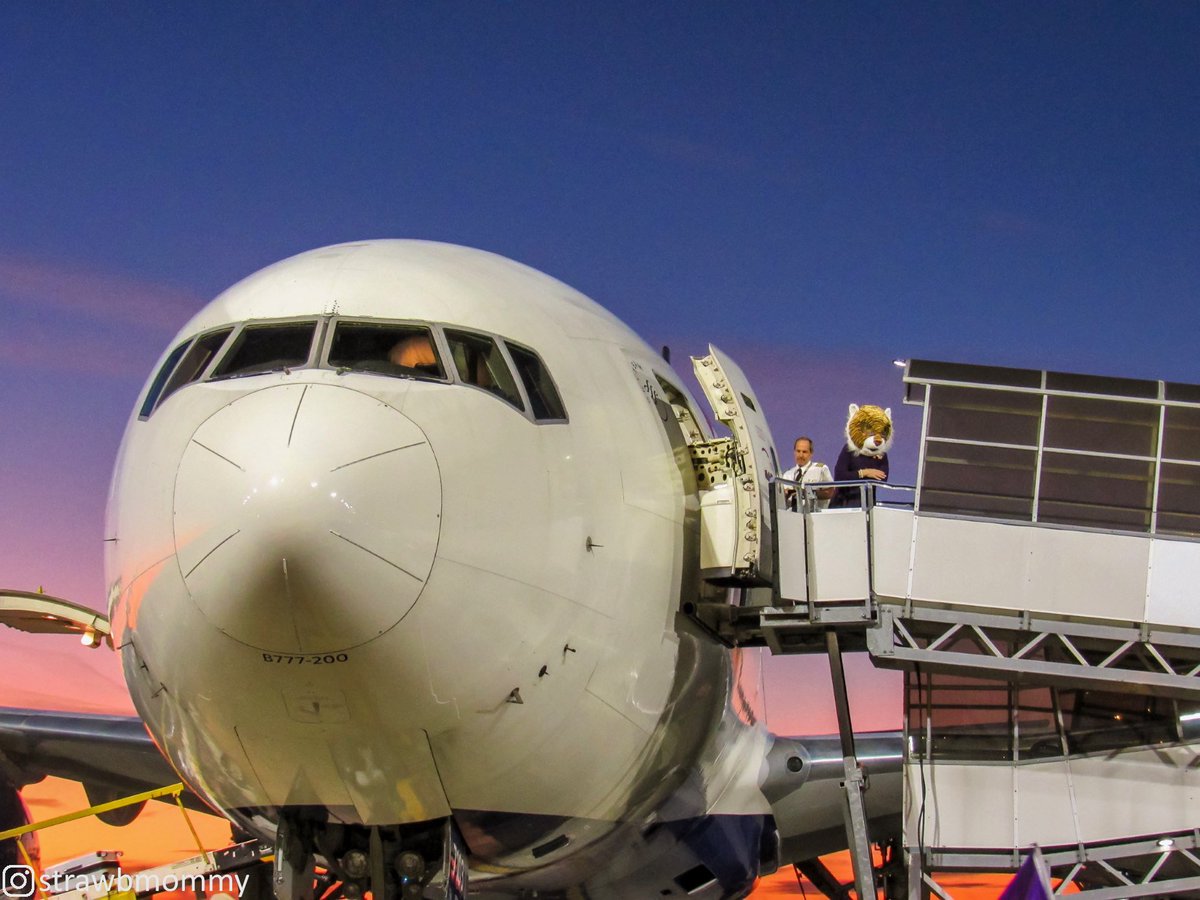 🏈🏆 83rd Goodyear Cotton Bowl teams, Clemson &amp; Notre Dame have arrived! Welcome, and Merry Christmas Eve football fans.

#ALLIN #GoIrish #CFBPlayoff
