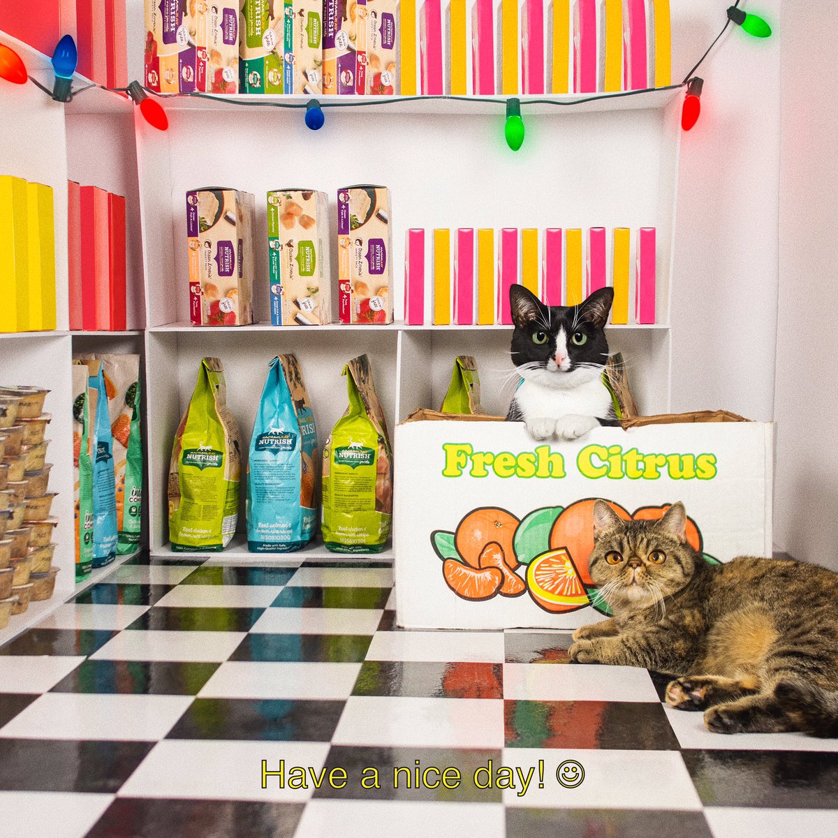 CheetoTuxedo's tweet image. Seasons greetings from Princess Cheeto’s @nutrish bodega! ✨ #sponsored #NutrishPets