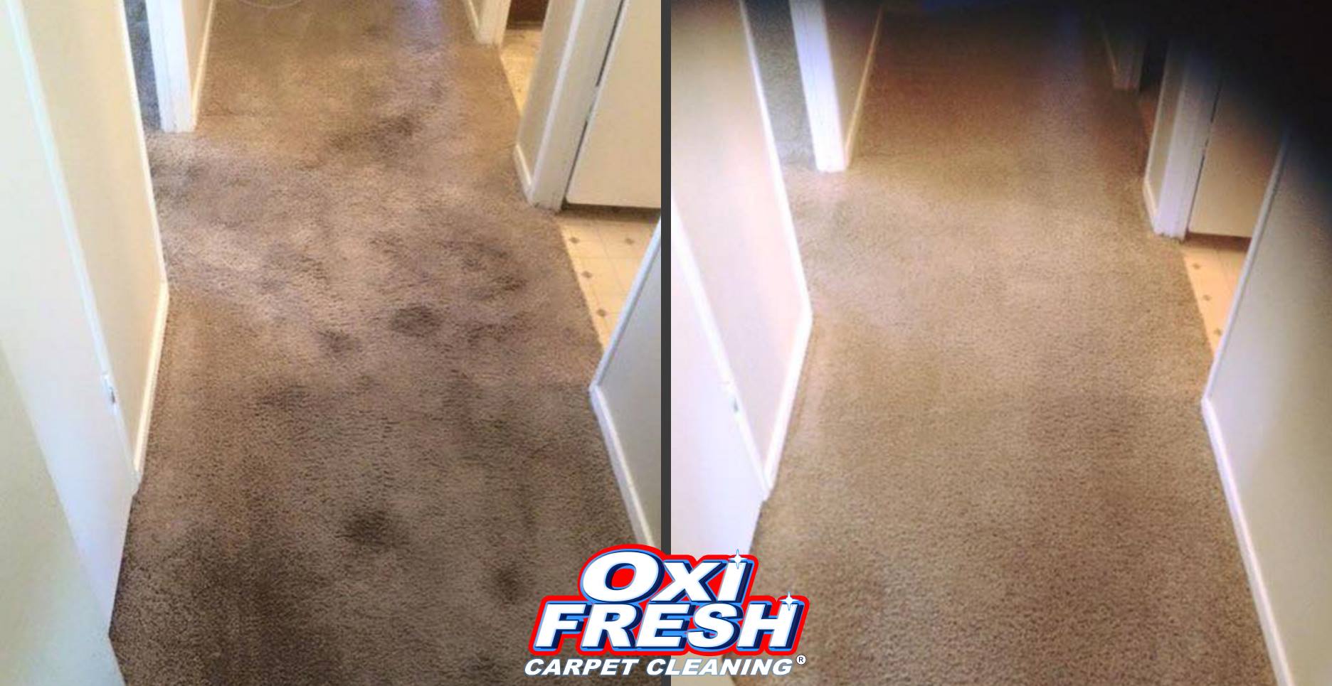 Oxi Fresh Carpet Cleaning (CarpetOxi) / Twitter