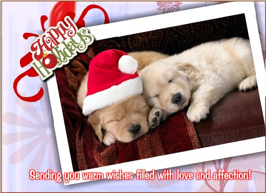 Happy Holidays from Premier Business Centers in Bothell! #PBCBIZLife #Christmas #ChristmasEve