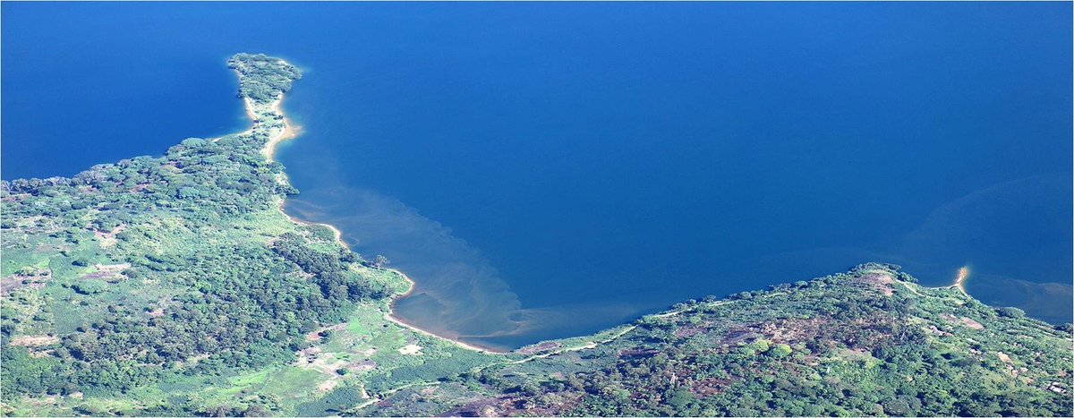 Top things to do in Drc-#congo #visitcongo #gorillatrekking #gorillasincongo #congotour #congosafaris #congosafari #congojungles #congogorillatrekking #congogorillatracking #congomusic #congculture #primatesincongo #congotours #congorefuges #congolese 
ultimatewildsafaris.com/index.php/afri…