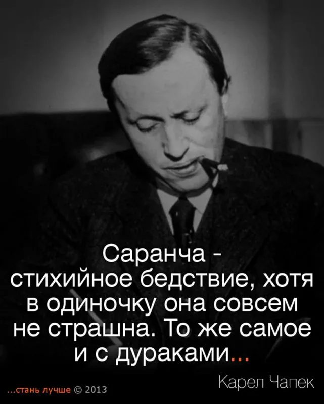 Картинки о дураках с фразами