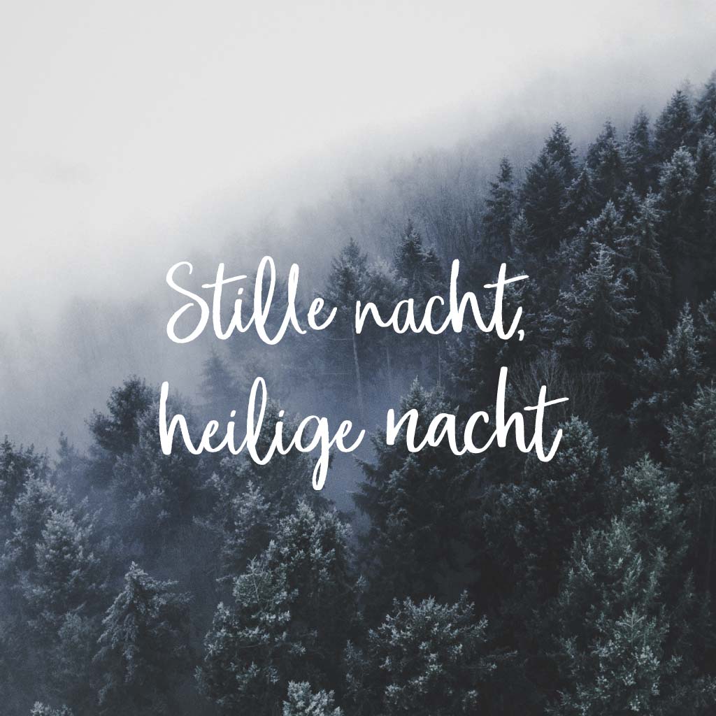 quoteconl's tweet photo. Stille nacht, heilige nacht
 #HeiligeNacht #Kerst #Kerstavond #StilleNacht

https://t.co/Dv7gFK2l8T https://t.co/ksnS6zauYK