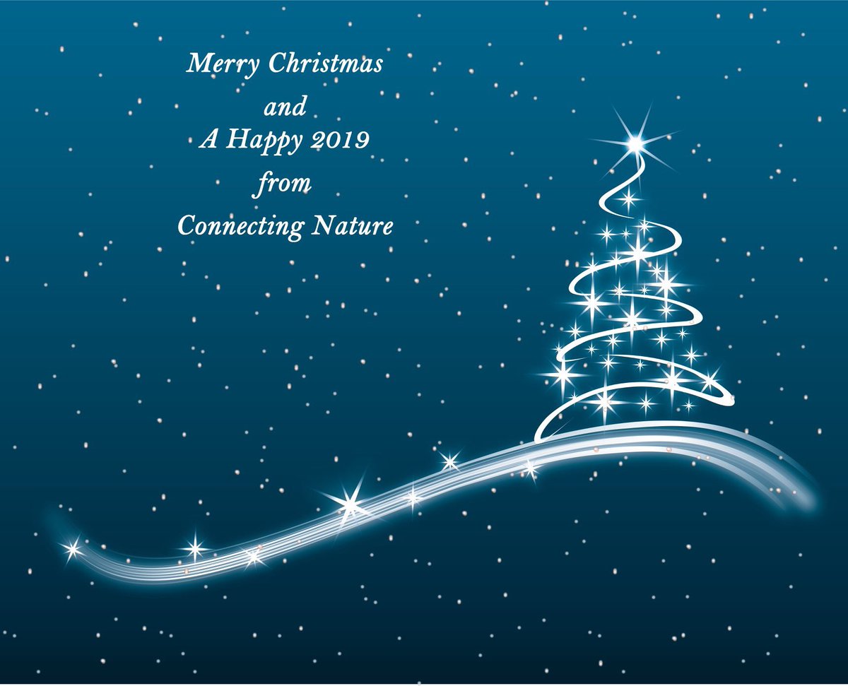 абстрактная рождественская елка. абстрактная елка. фон ель новогодняя темная. абстрактная новогодняя елка. елка на синем фоне.