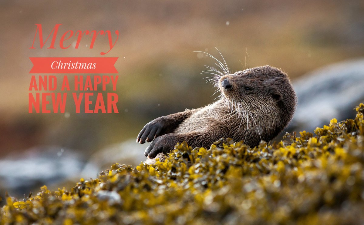 Alex Keivers (@alex_keivers) on Twitter photo 