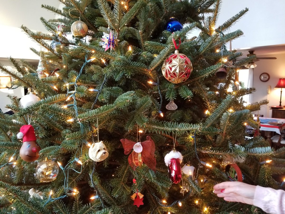 JohnLukeNYC's tweet image. #HappyHolidays #MerryChristmas #HappyNewYear To One &amp;amp; All! HO!HO!HO!