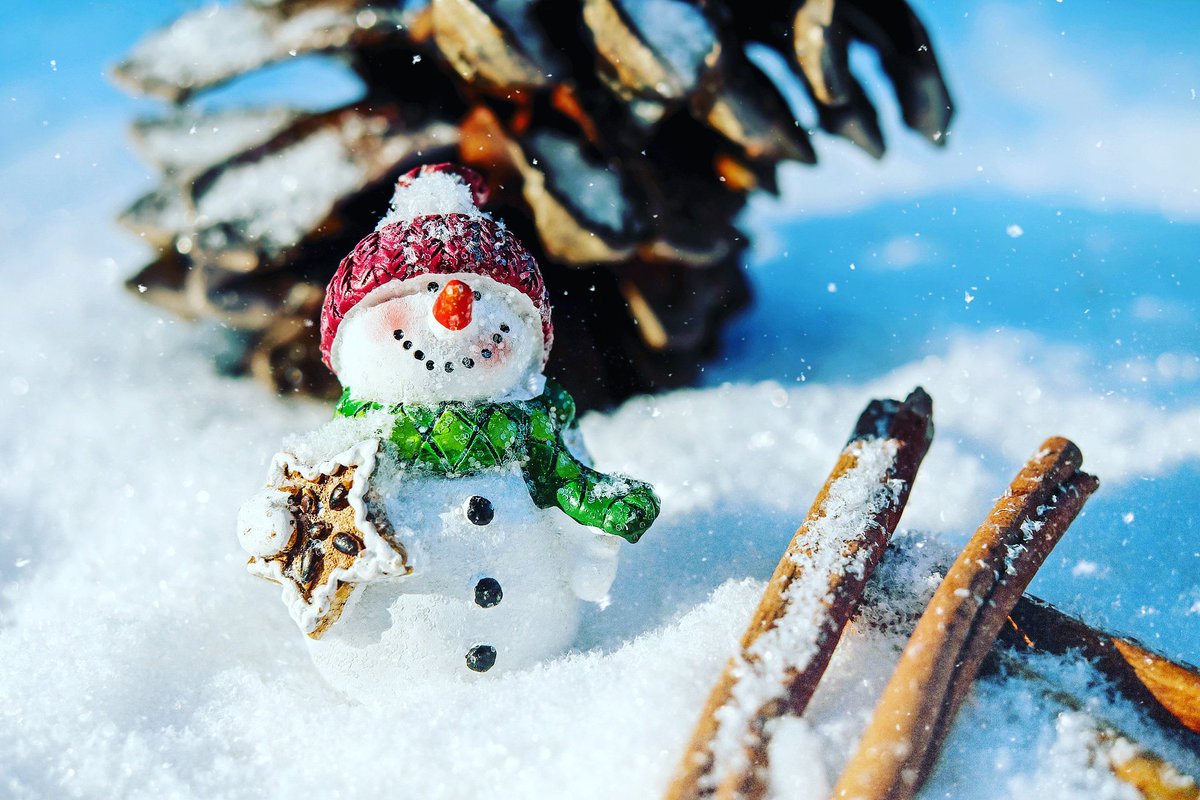 leaf_crypto's tweet image. Merry Christmas and Happy Holidays from everyone at Cryptoleaf. Let's make 2019 legendary, together! 🌲🙂🎉🎉🎉 #startup #ireland #blockchain #ecology  #cryptocurrency #crypto #token #investment #cryptonews #crowdfunding #environment #green #leafs #changetheworld #christmas