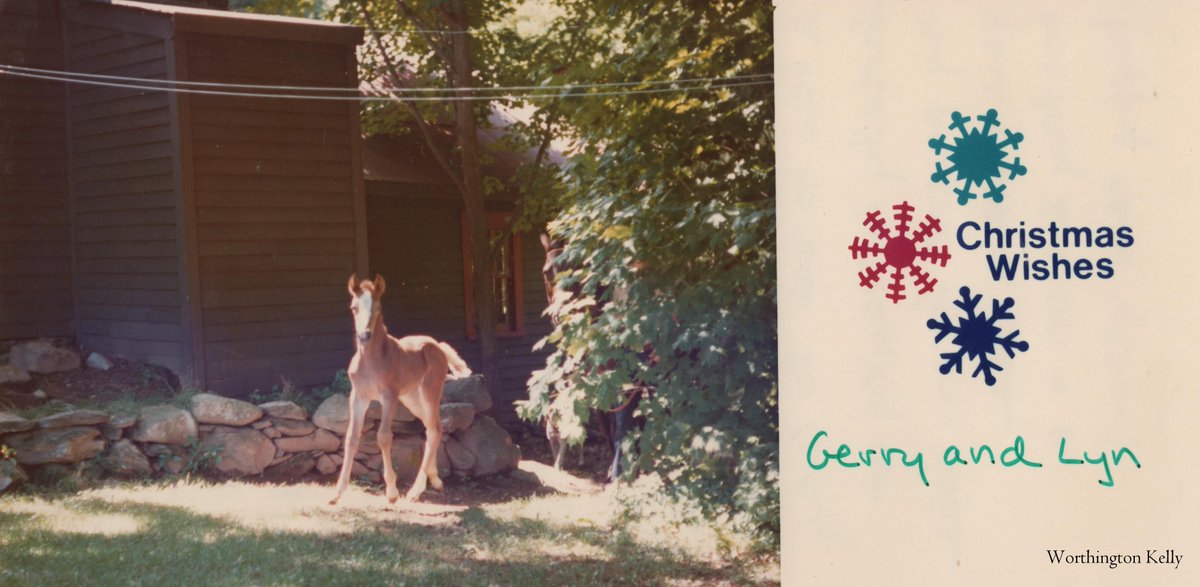Christmas card to Frances Bryant from the Gerald and Lynda Lemieux Family: Worthington Kelly as a foal, ca. mid-1980s.