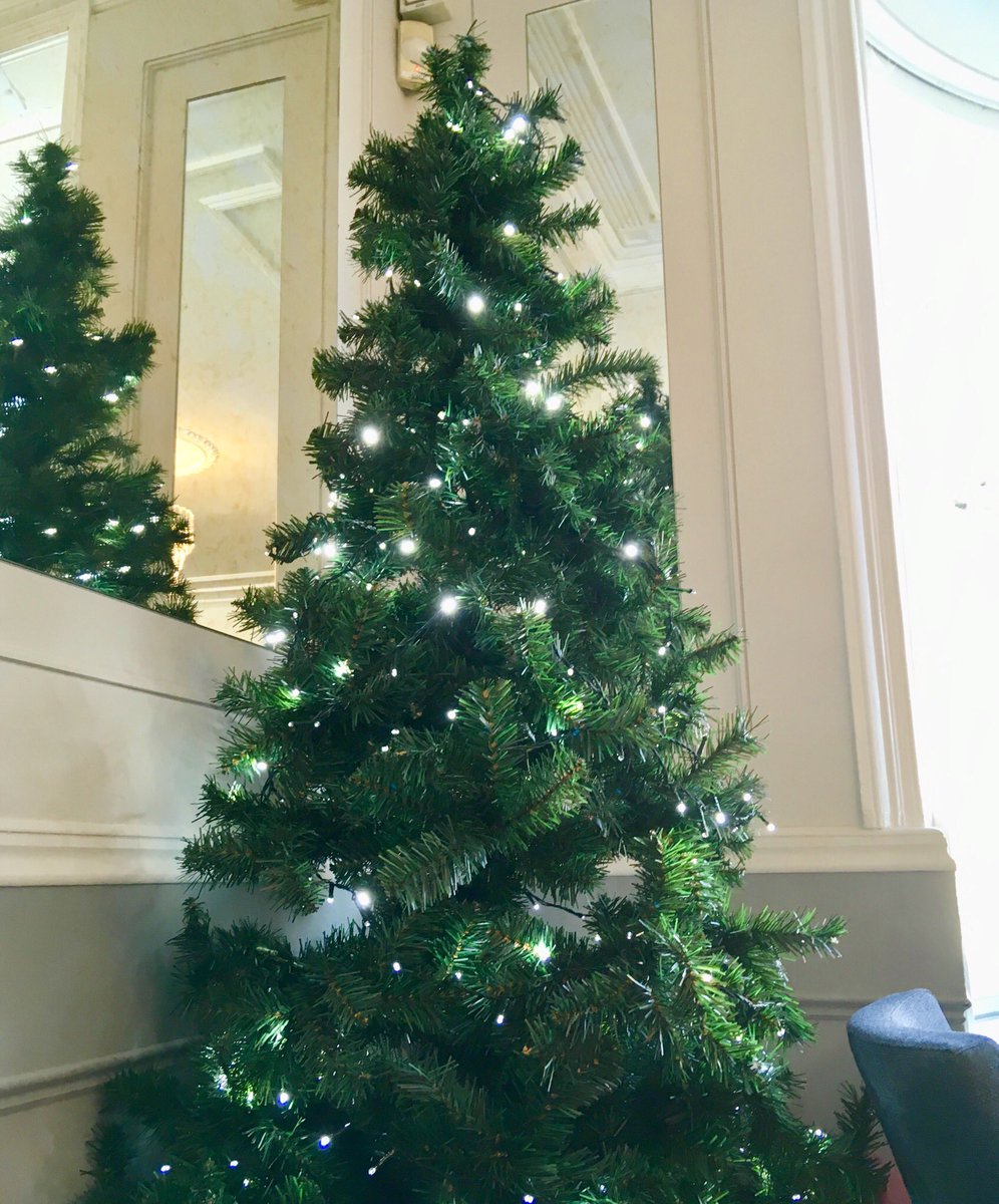 The last couple of trees for Festive #WhereInRomsey! Where are these trees? Happy Christmas everyone! 🎄
#whereinromseyxmas #Romsey #Hampshire #christmas #xmas #christmastree