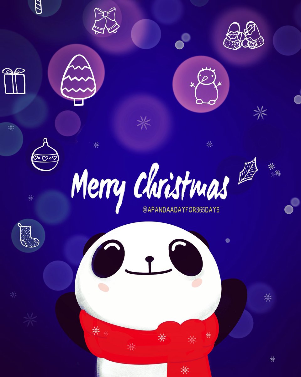 A panda a day for 365 days. tweet media