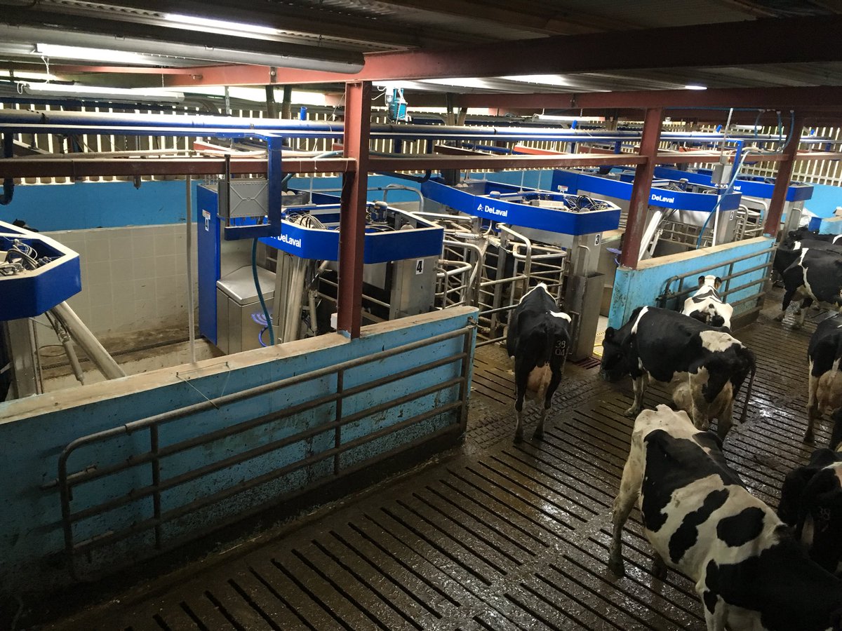 timlooby's tweet photo. Did a Xmas eve call to roger in Cappoquin estate. First time seeing 5 robots in action. Hugely impressive setup. A lot of food for thought re alternative systems going forward. @tinturholsteins @DeLaval @mcdonnellbros https://t.co/arHc2iMOFk