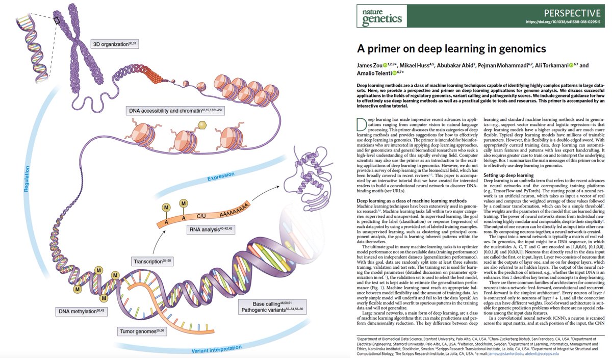 EricTopol's tweet photo. Deep learning #AI "primed to revolutionize" #genomics
https://t.co/lhtHGhNHPh
https://t.co/J0FxNzx8uG
@NatureGenet @MylesAxton editorial
@atelentia @Pejminister @ATorkamani @ScrippsRTI @scrippsresearch
@czbiohub @StanfordEng @mikaelhuss @karolinskainst https://t.co/HJga6butN6