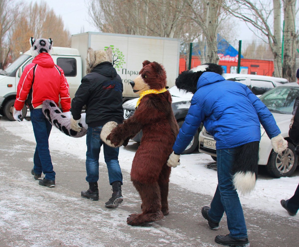Little train 
#fursuitwalk #furryfandom