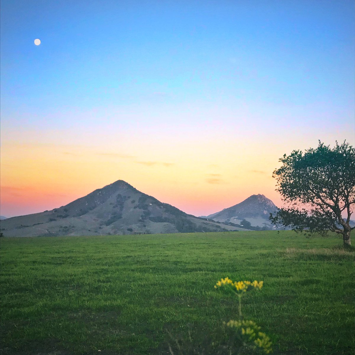 “The moon is right. 
The spirits up.”
Hope it’s a simple and wonderful Christmas time for all!
<a href="/slocountyinfo/">slocounty.info</a> #CerroSanLuis <a href="/HikeSlo/">Hike Slo</a> <a href="/wildflowerfolie/">Wildflowerfolie</a> 
<a href="/ShareSLO_/">#ShareSLO</a> <a href="/SLOTribune/">The Tribune</a>  <a href="/CalPoly/">Cal Poly</a> <a href="/511TravelInfo/">SLO 511</a> @VisitSLOC #beonksby <a href="/SLOParksandRec/">SLO Parks and Rec</a> #ChristmasEve2018