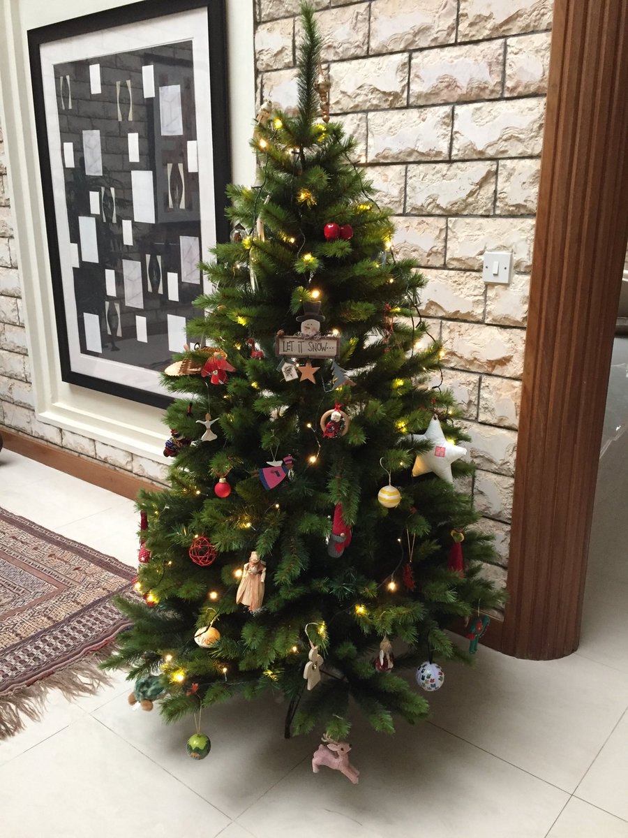frederiquedeman's tweet photo. Wishing my Twitter group happy holidays and a very good New Year, 2019. Off now to ⁦@AkageraPark⁩ https://t.co/MahARE1KYf