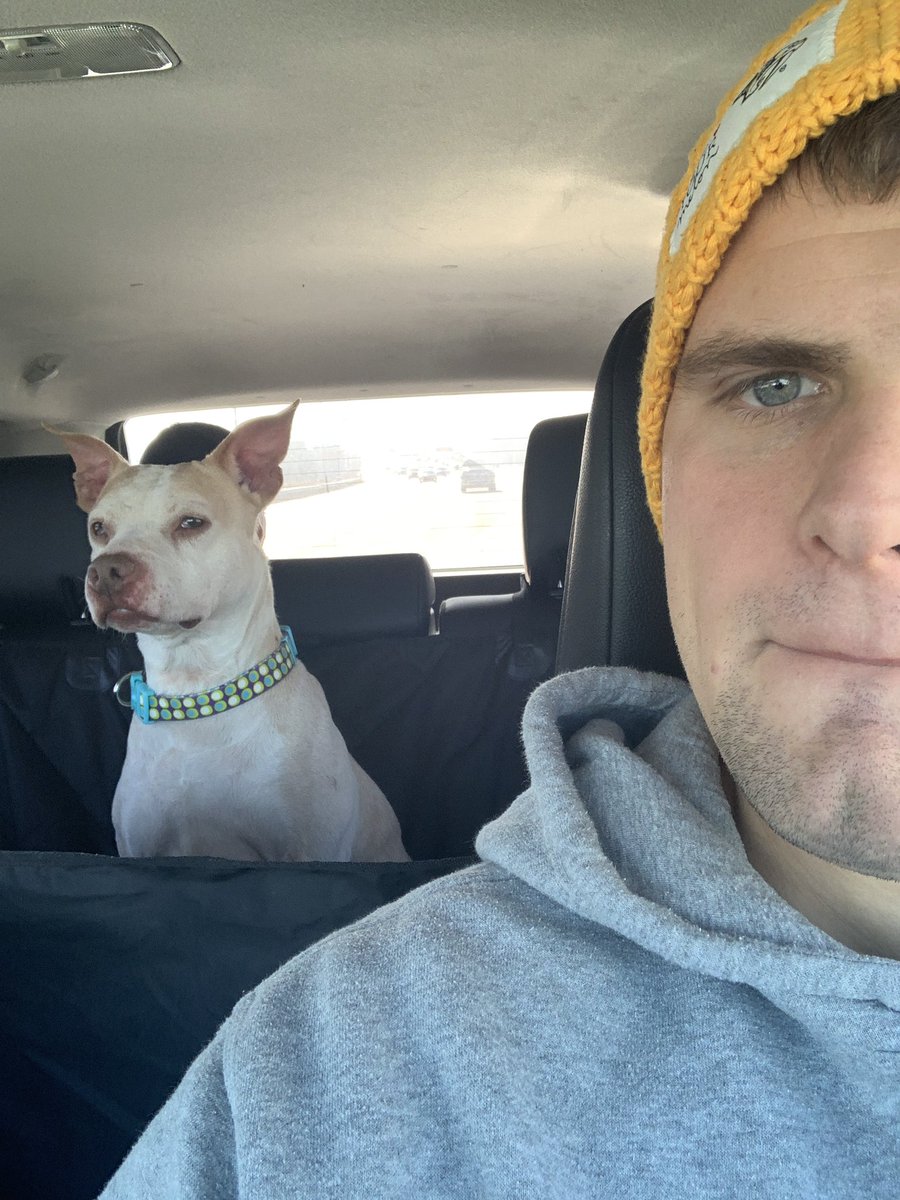 JRob184's tweet photo. Got this beauty today. They were gonna euthanize her. #SpayAndNeuter #AdoptionForLife 
@RealLoganRyan https://t.co/qkQkr0sDlU