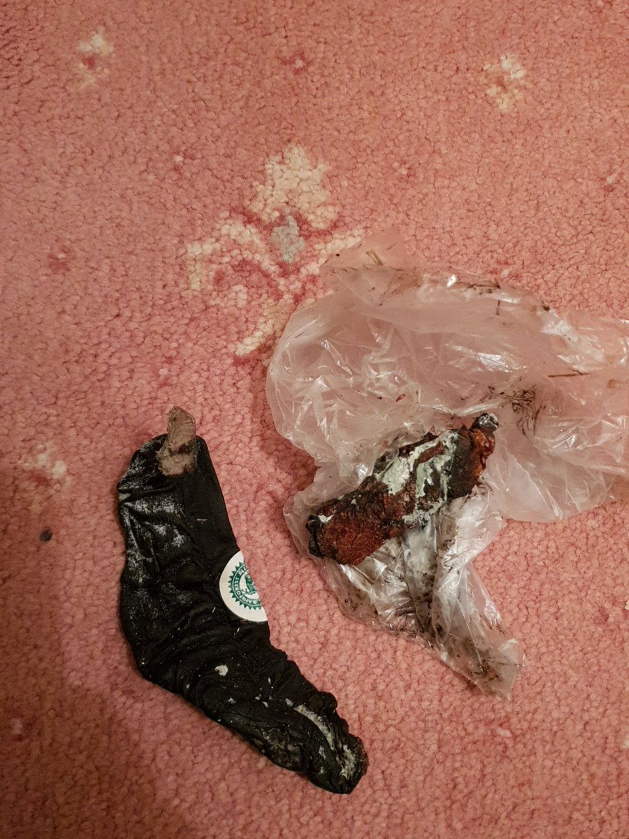 BrownlowJames's tweet image. When mum investigates dad&apos;s smelly golf bag 😷😷 #unidentifiedobjects