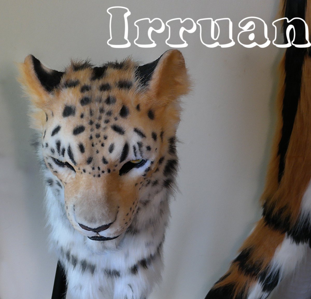 My lovely realistic work!
#leopard #fursuit #realisticmask #animalmask