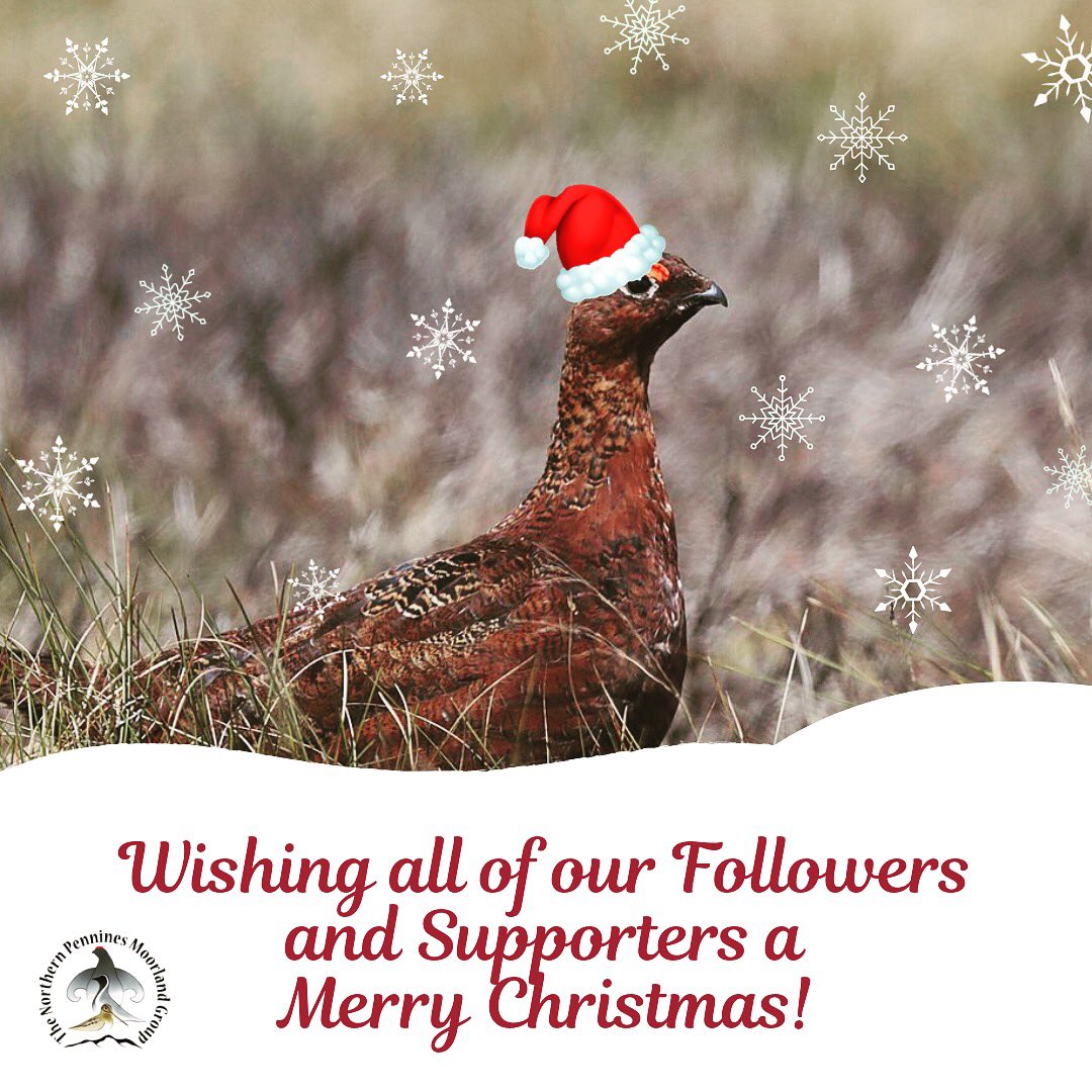 TheNPMG (@thenpenninesmg) on Twitter photo 