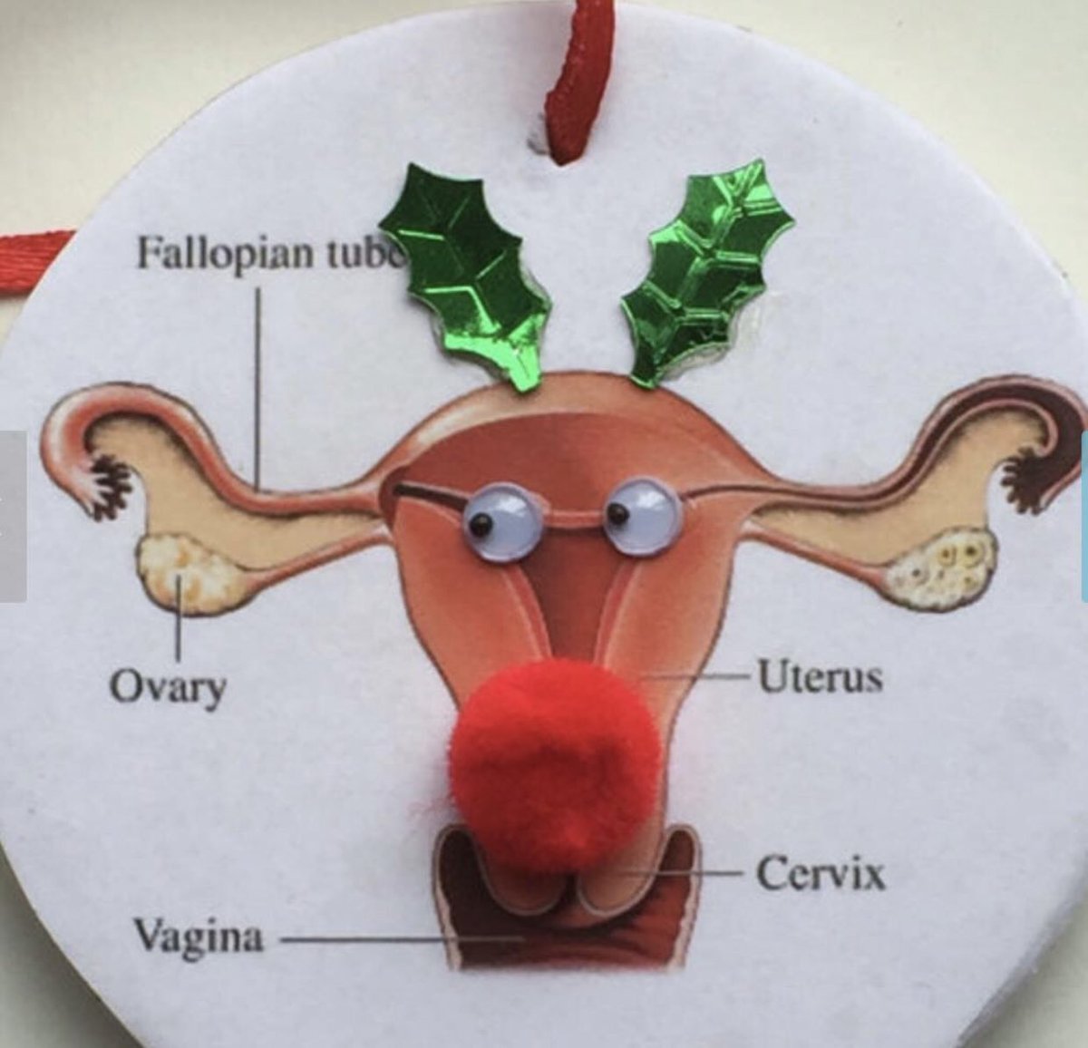 Have OVARY Merry Christmas to those who celebrate.