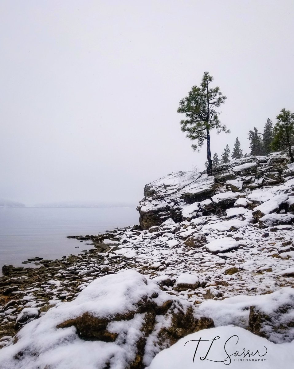 TLSasserphoto's tweet photo. The beginning of winter, Tubbs Hill, Coeur d'Alene Idaho 
@NadineKXLY 
@KrisCrockerKXLY @LakeCoeurdAlene @OnlyinIdaho @VisitNorthIdaho https://t.co/0Q80JDfCG2