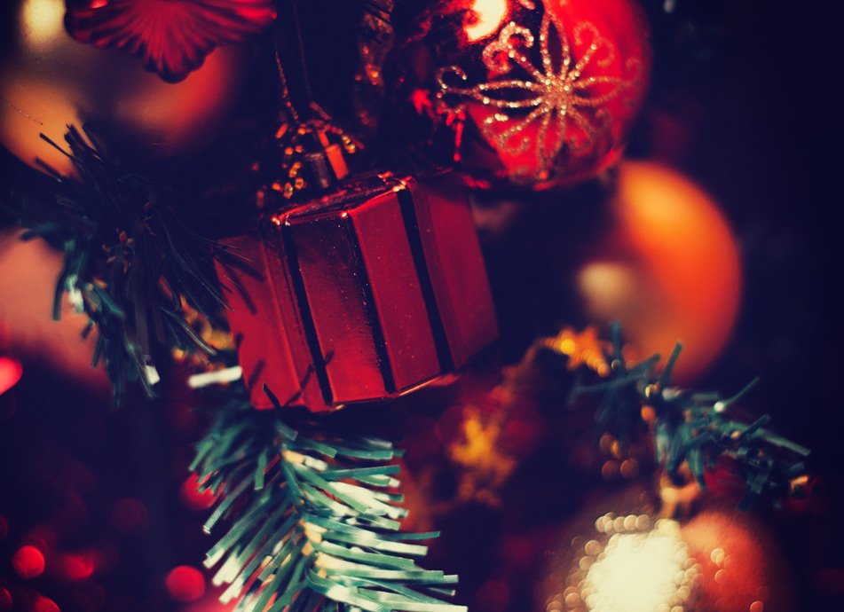 CwrtBleddyn's tweet photo. Merry Christmas from everyone at Cwrt Bleddyn! 

Read more. https://t.co/rFjvKF7ZXt https://t.co/efN39YtP20