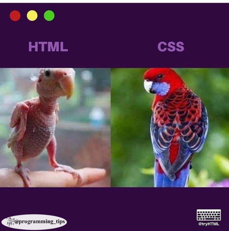 Hey, guys think about this HTML/CSS page after and before..