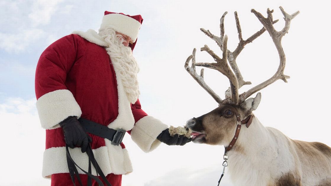 Donner Reindeer Donder