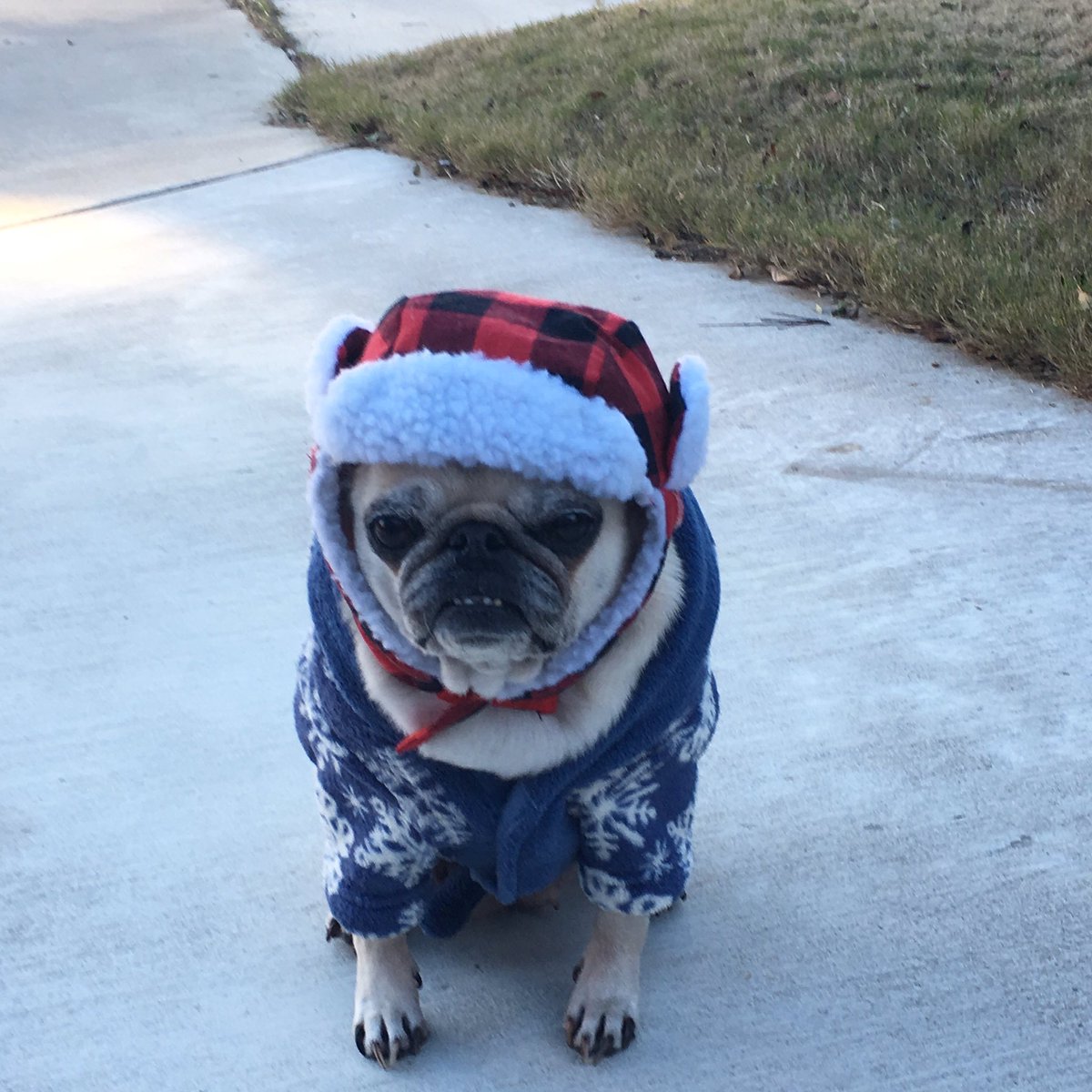 Merry Christmas, shitter was full.