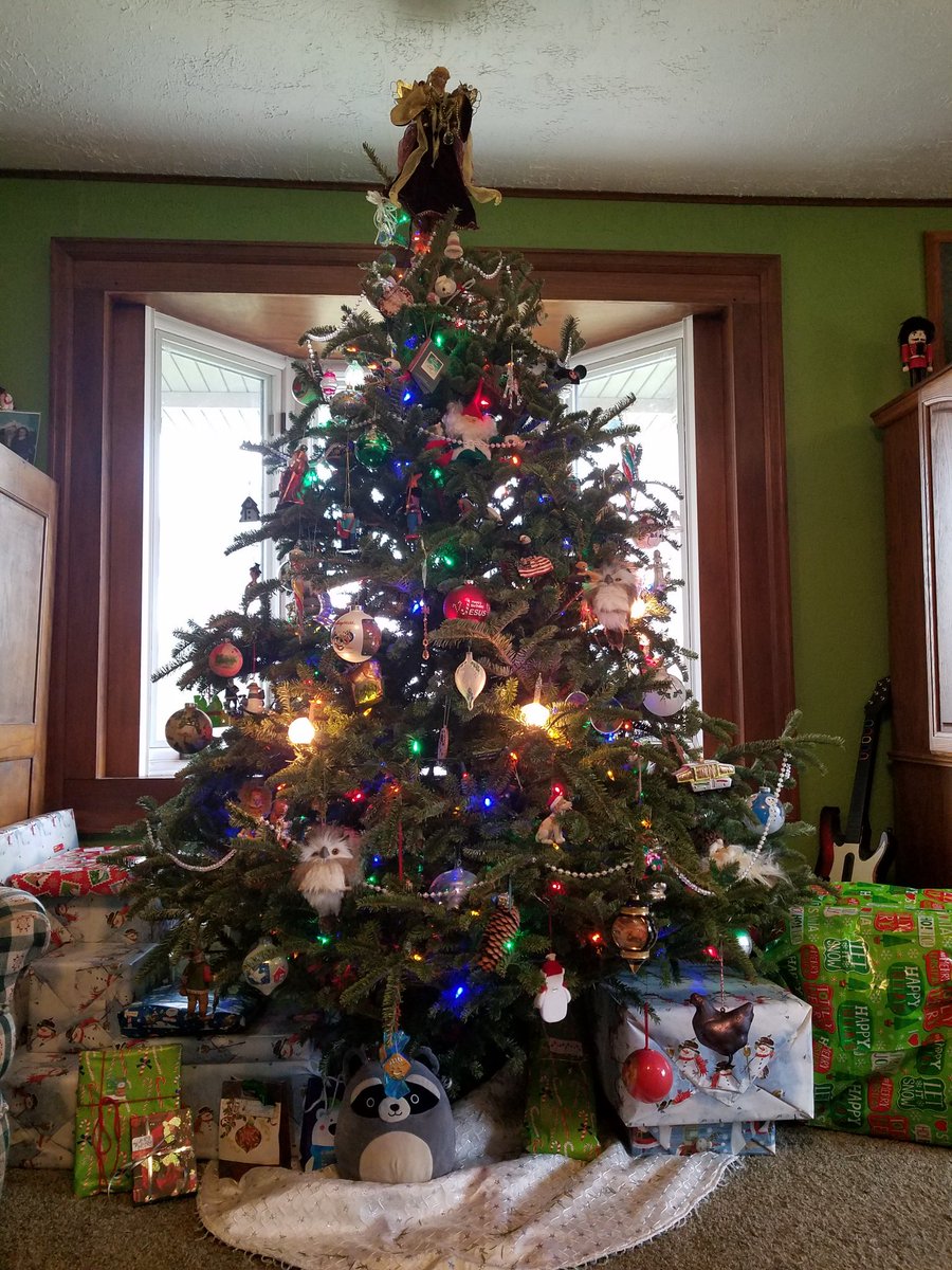 Rascal hanging with the tree on Christmas Eve. #classraccoon #adventuresinpetsitting