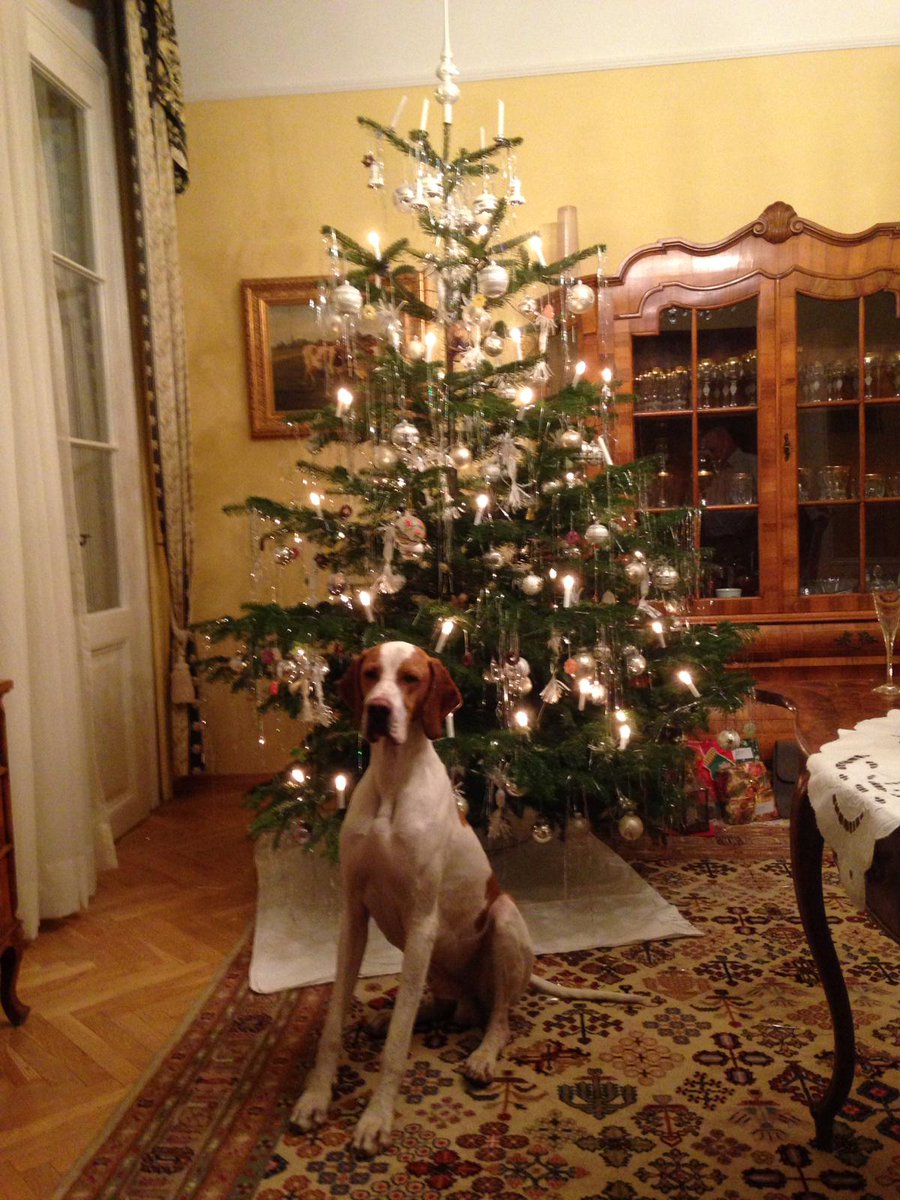 Die berühmten Davor-Bilder.
Merry Christmas!