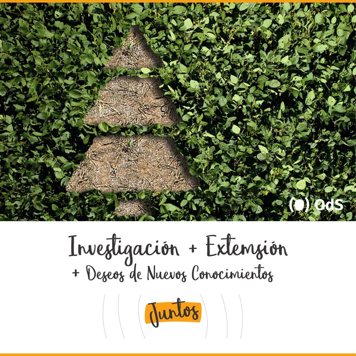 OdSagro's tweet photo. 🎄#FelicesFiestas de parte de todo el equipo de @OdSagro!
#ODSTeam #ExtensiónODS #InvestigaciónODS https://t.co/d6ah2xkzru