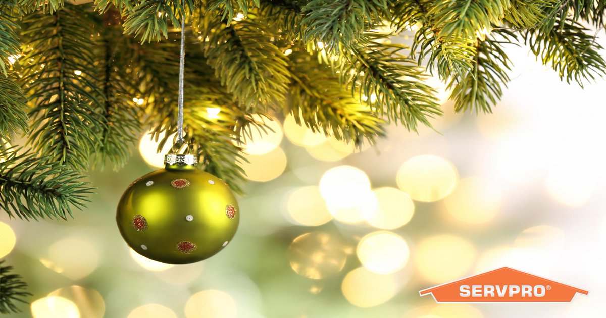 Happy Holidays from our SERVPRO® family to yours.