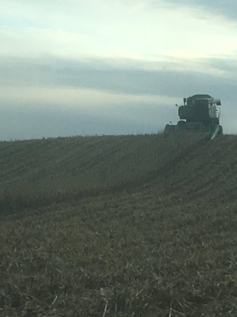 #Harvest18 is complete. Hooray. Still 2 batches left to dry. Merry Christmas