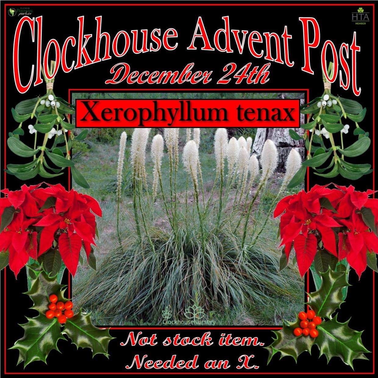 Clockhouse Nursery on Twitter "X is always tricky !!! 