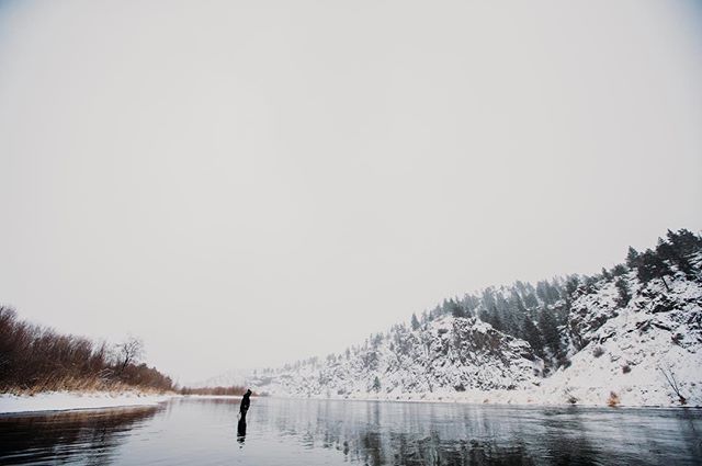 Dreaming of a white Christmas... 🤞hoping this warm wind stops here in MT so I can sneak some fishing in on my day off 😎❄️ #north40flyshop #winter #christmas #snow #forgettheforecast #wind #dayoff #wildernessculture #getoutside #thetugisthedrug