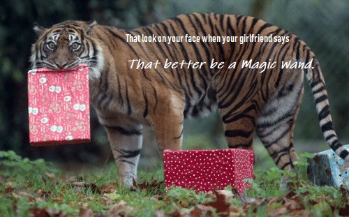 TrueMagicWand's tweet photo. Don't let her down!
#TheGiftForEverySeason #MagicWand #MagicWandRechargeable #GoodVibesOnly https://t.co/RXvsVAF6N7