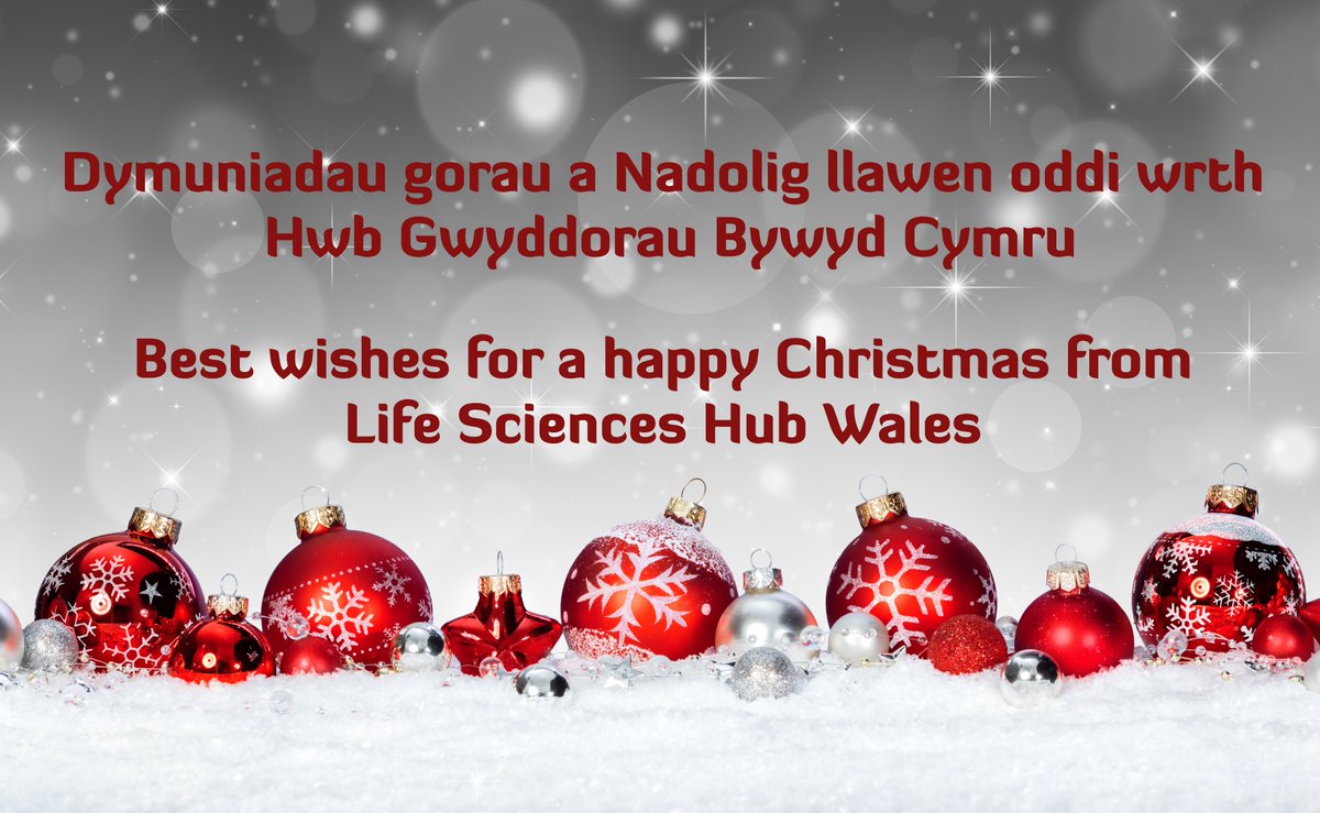 lshubwales's tweet photo. We'd like to wish our followers a very happy Christmas. To catch up on the latest news from @lshubwales, our December #HubHighlights is available here: https://t.co/lolXk045tu https://t.co/iTji2cscqR