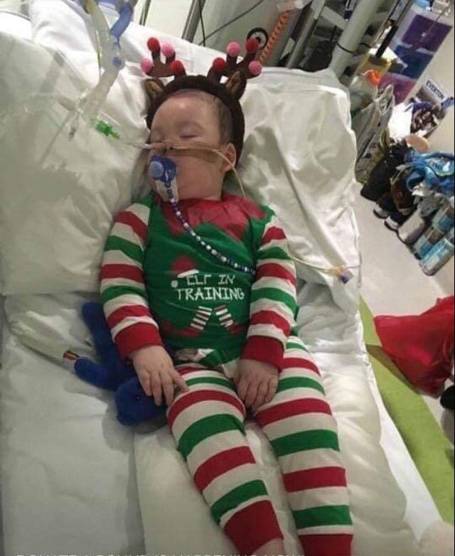 #ALFIESARMY (@alfiesarmy16) on Twitter photo Day 7 of #AlfiesActOfKindness Cherish your loved ones, spend time with them&enjoy. Despite it being hard the 1st Christmas without beautiful Alfie we would like to say Merry Christmas to you all and thank you for your continued support, love from Alfies family and admins ๐๐๐โโ๏ธ Day 7 of #AlfiesActOfKindness Cherish your loved ones, spend time with them&enjoy. Despite it being hard the 1st Christmas without beautiful Alfie we would like to say Merry Christmas to you all and thank you for your continued support, love from Alfies family and admins ๐๐๐โโ๏ธ