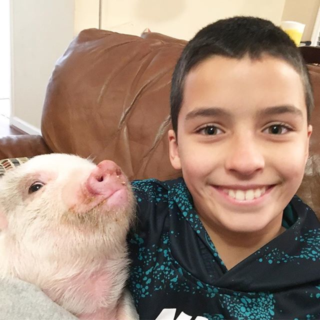 Seth Condrey tweet media