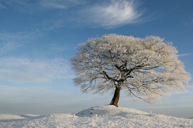 WorldlnFocus's tweet image. Wishing everyone a very Happy Christmas from Simon and Tammy at World In Focus. Thank you for all your support over the last year(s) and we hope to see / hear again from you all soon. 

#christmas2018