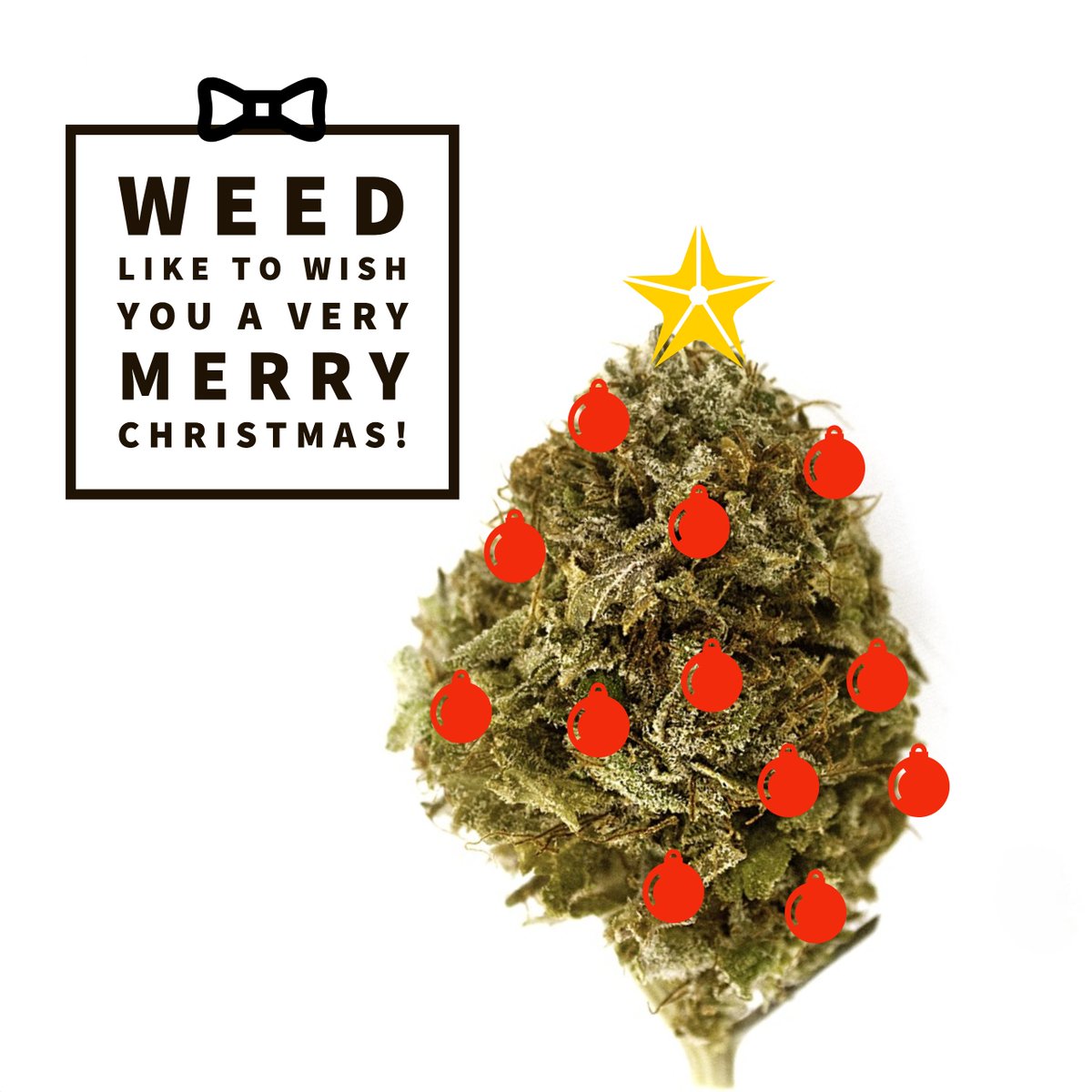 growfloor's tweet photo. Happiest of Holidays to you and yours! #HappyHolidays #Kushmas #cannabis #merrijuanchristmas #growflow https://t.co/oLR6yPU5XN